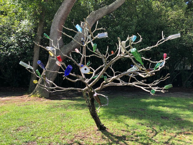 bottle tree-May